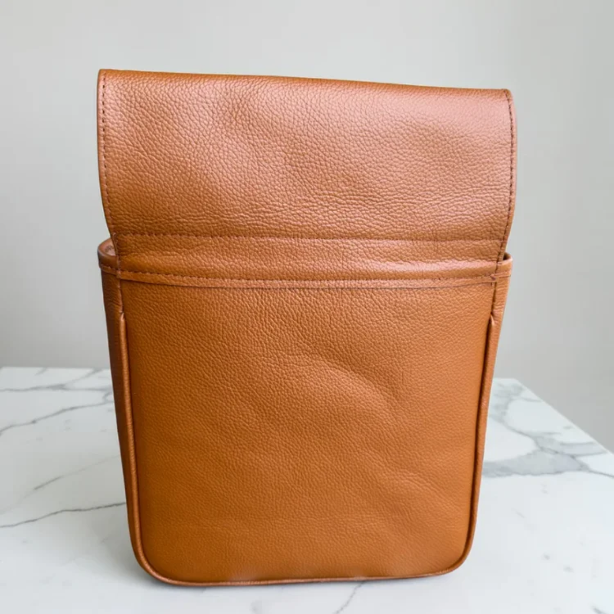 Champaign Paiche Shell Pouch