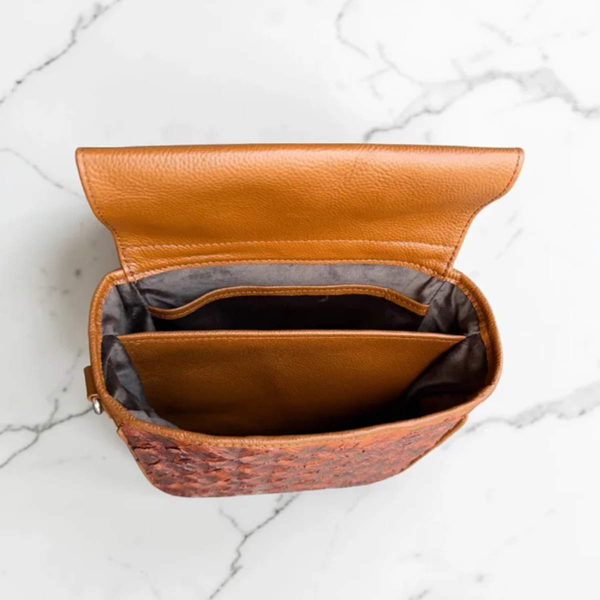 Champaign Paiche Shell Pouch