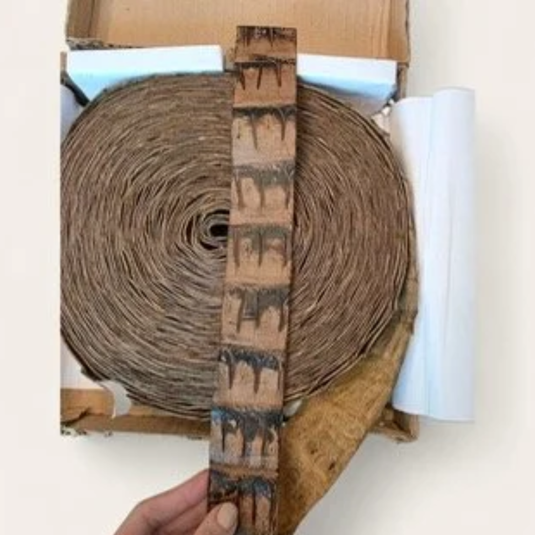 Vintage Brown Crocodile Tail Belt Strips (DIY - Sold Per Foot)